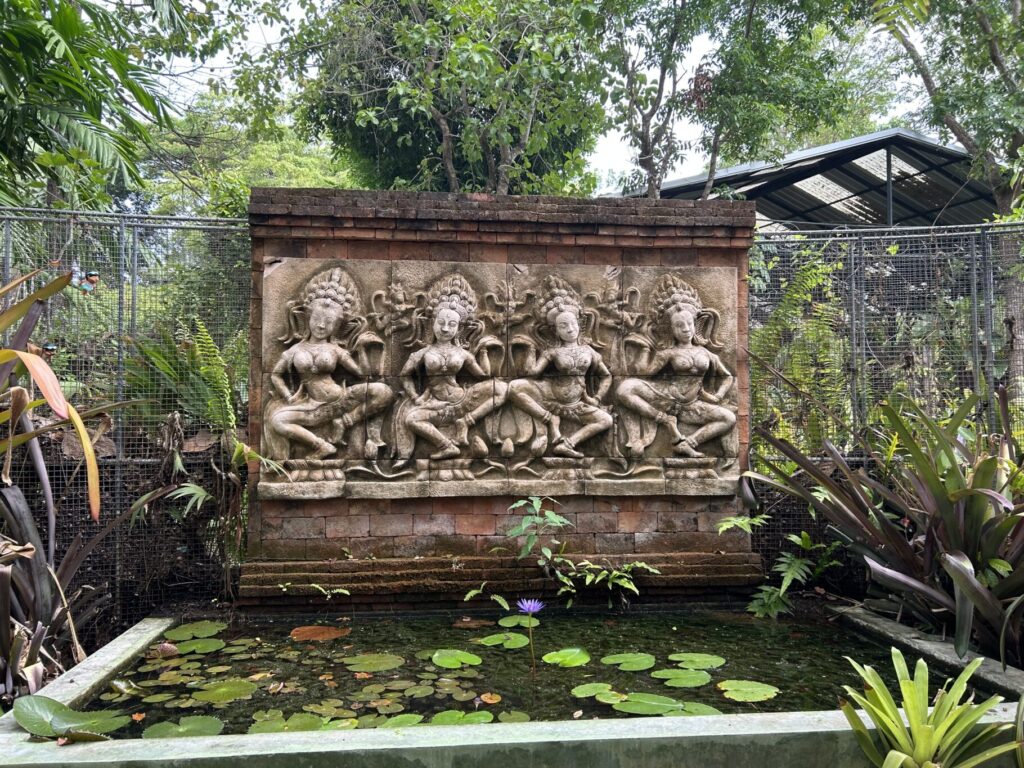 Phuket Botanic Garden