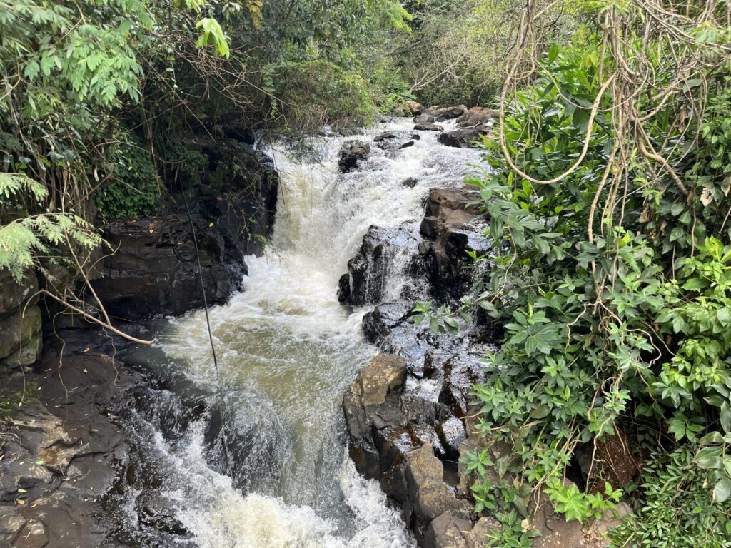 Looking upstream of Salto Lanusse waterfall