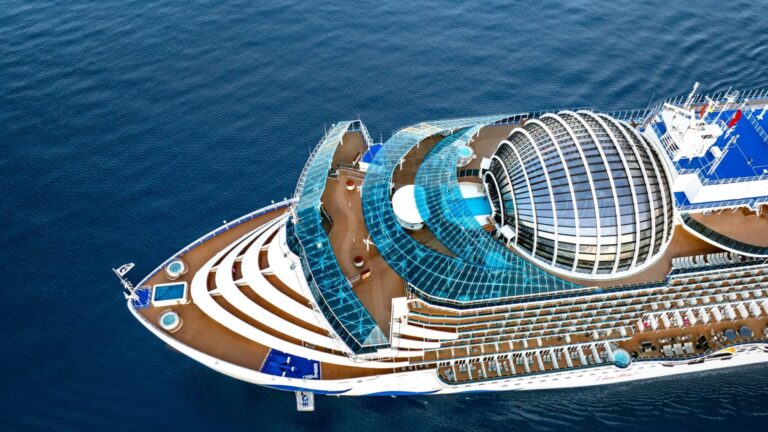 Star Princess aerial view