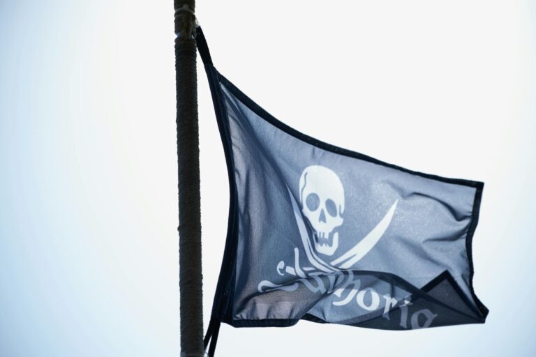 a black and white flag