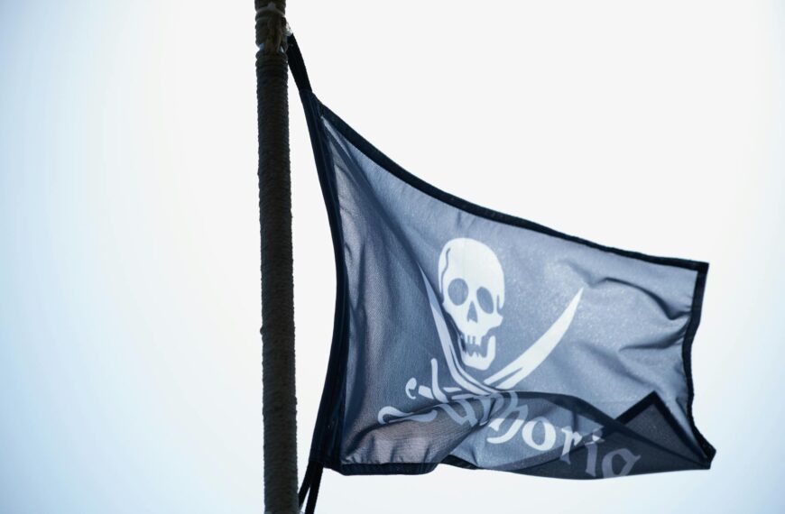 a black and white flag