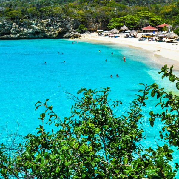 How Do I Book a Shore Excursion for my Caribbean Cruise?