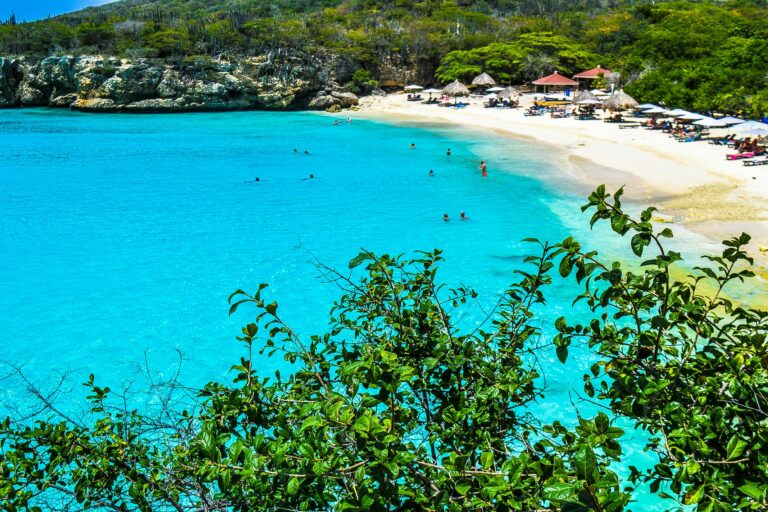 How Do I Book a Shore Excursion for my Caribbean Cruise?