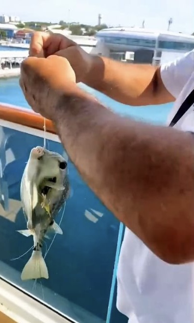 a cruiser displays a boxfish that he caught from a Carnival cruise ship docked in Nassau