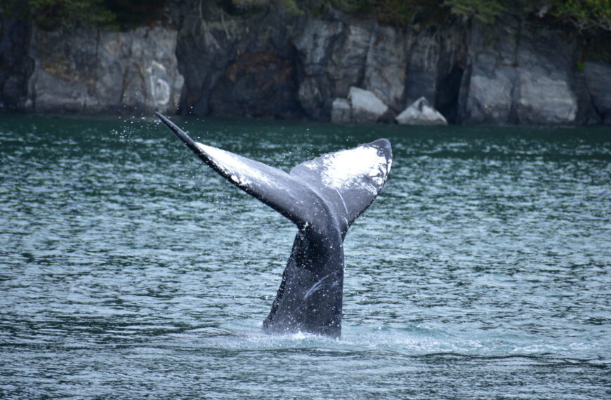 A New Kind of Alaska Cruise Debut