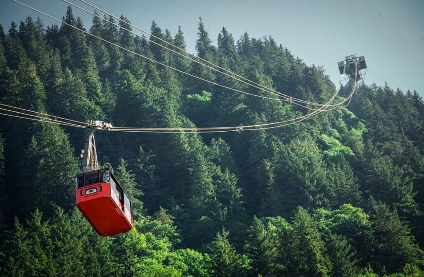 One of Alaska’s Most Famous Shore Excursions Suddenly Went Quiet